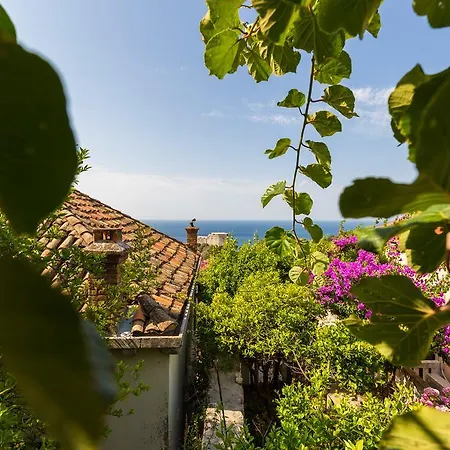 Apartmán Anika Dubrovník